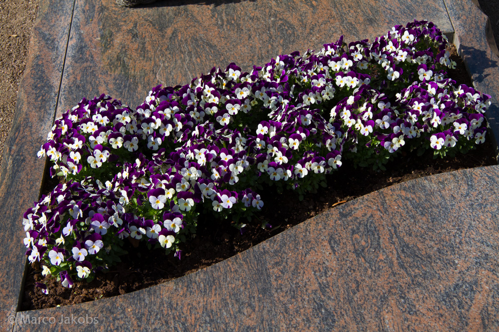 140329144658 Marco Jakobs 145